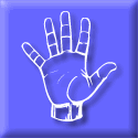 Numbers and Signs Association Game